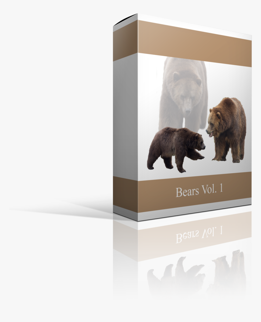 Kodiak Bear, HD Png Download, Free Download