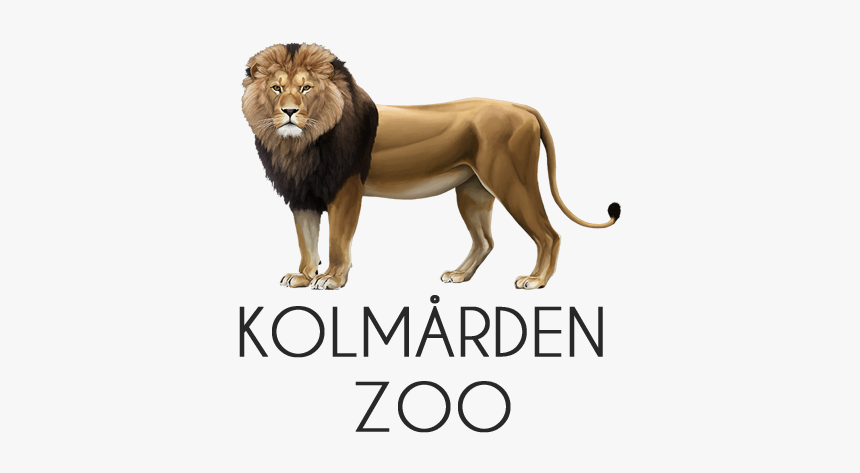 Masai Lion, HD Png Download, Free Download