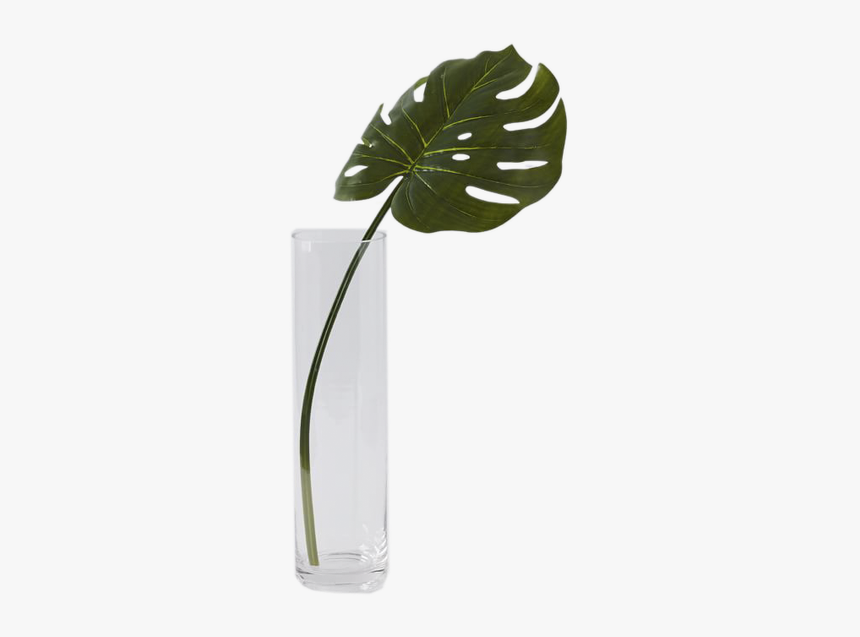 Palm Frond In Vase, HD Png Download, Free Download