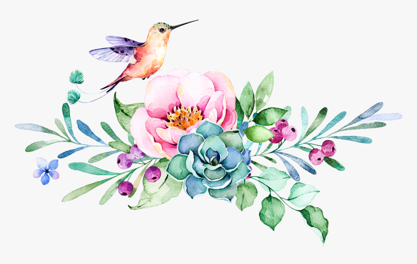 Hummingbird Clipart Watercolor - Transparent Hummingbird And Flower, HD Png Download, Free Download