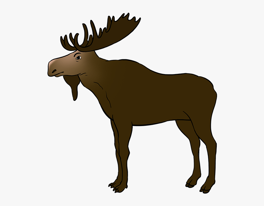 How To Draw Moose - Drawing, HD Png Download, Free Download