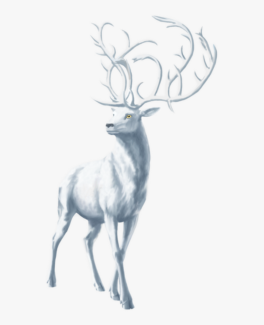 Moose Png Free Download - Elk, Transparent Png, Free Download