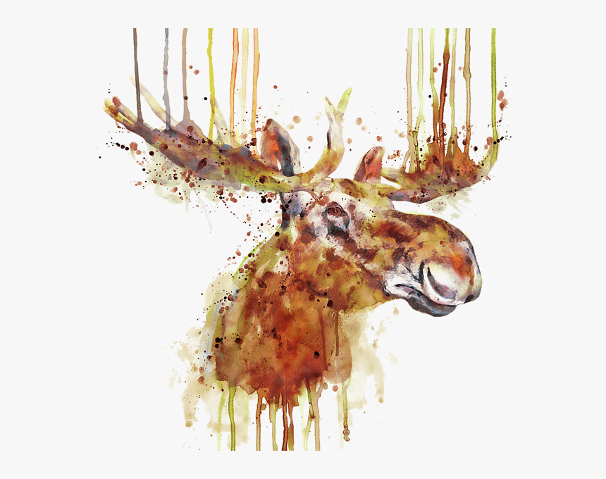 Moose Head Watercolor, HD Png Download, Free Download