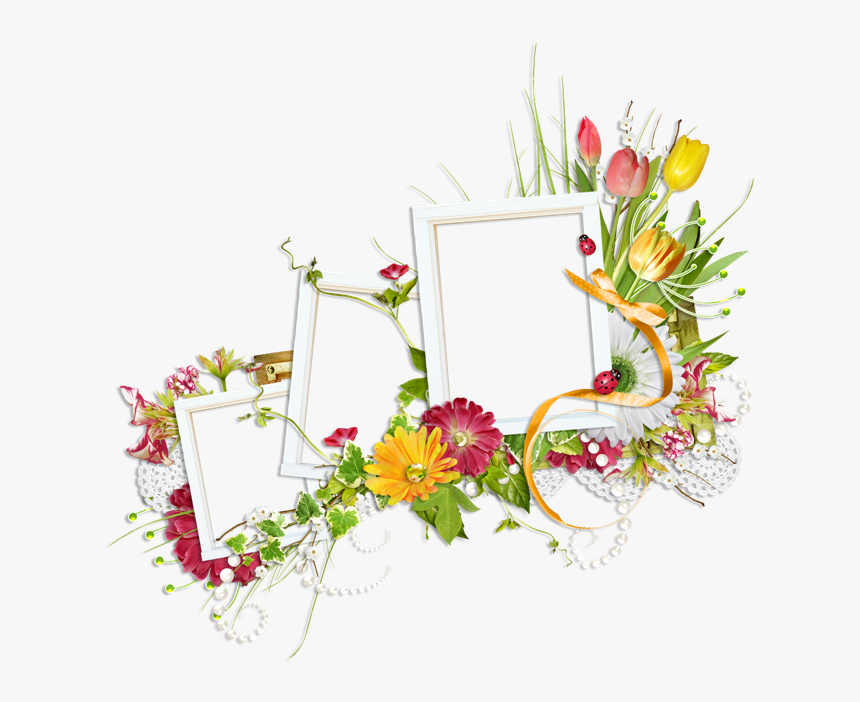 Frame Collage Collage Png, Transparent Png, Free Download