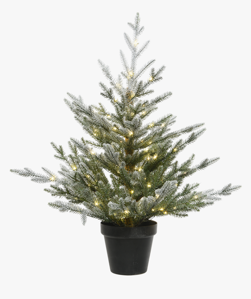 Christmas Tree In A Pot, With Led Lighting, - Christmas Tree, HD Png Download, Free Download