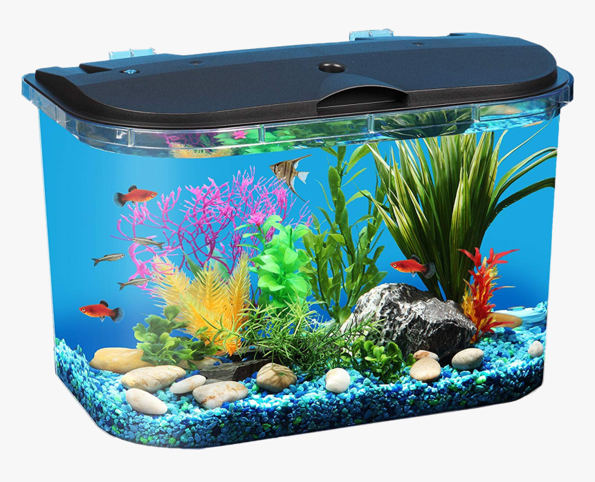Aquarium Fish Tank Png Download Image - Tropical Fish Tank Starter Kit, Transparent Png, Free Download