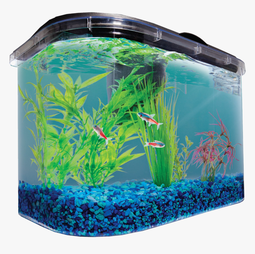 Aquarium Fish Tank Png Image - Aquarium, Transparent Png, Free Download