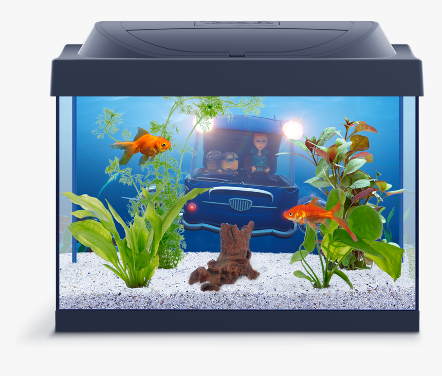 Aquarium Png, Transparent Png, Free Download