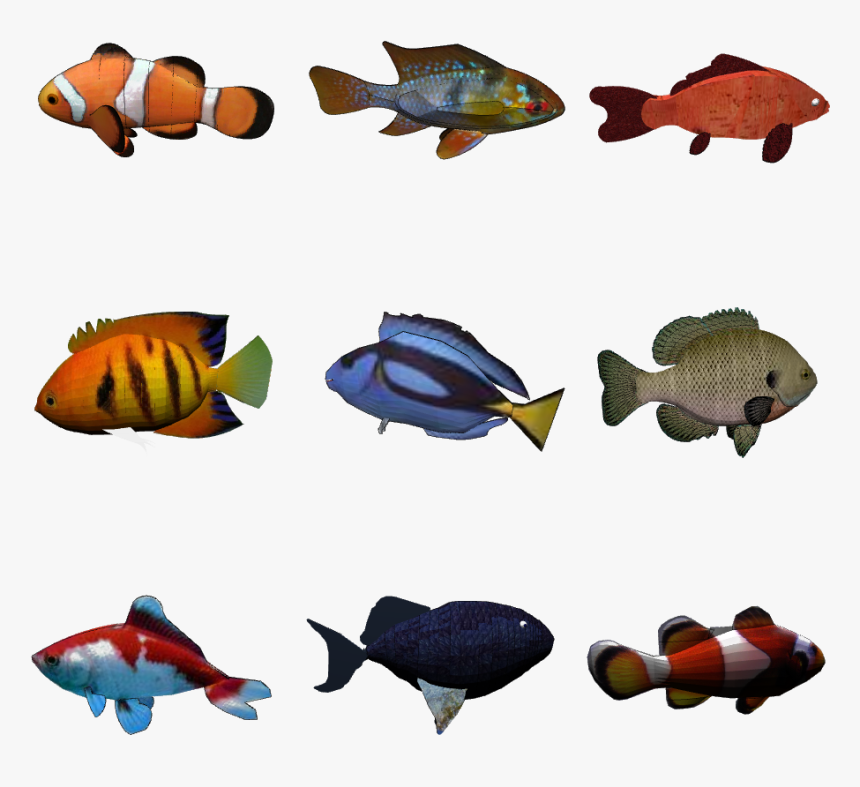 Object Detection Freshwater Fish Exemplar Theory, HD Png Download, Free Download