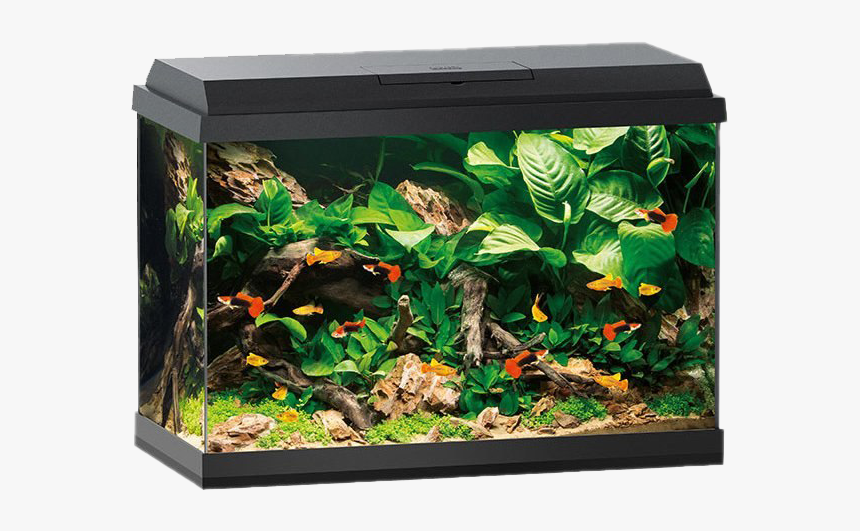 Aquarium Fish Tank Png Hd Image - Juwel 70 Litre Aquarium, Transparent Png, Free Download