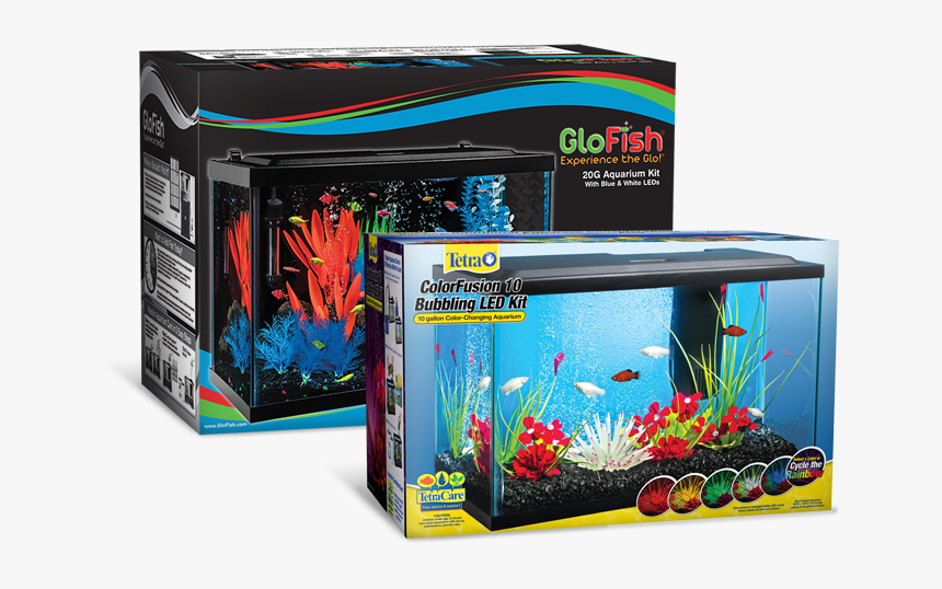 Aquarium, HD Png Download, Free Download