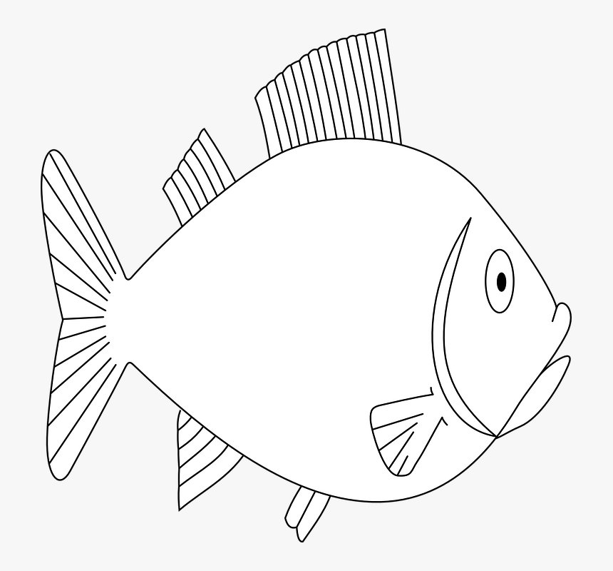 Fish, Animal, Swimming, Sea Life, Outline, HD Png Download, Free Download