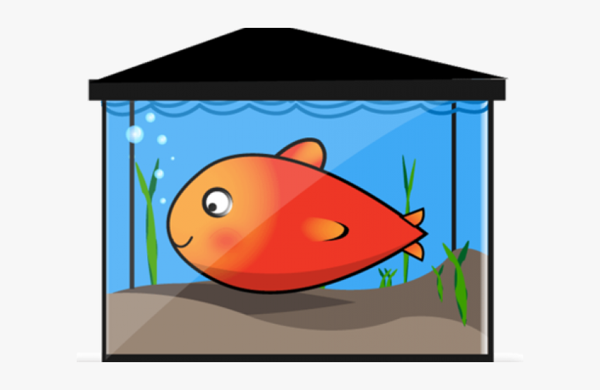 Fish Tank Clip Art - Fish In Tank Clipart, HD Png Download, Free Download