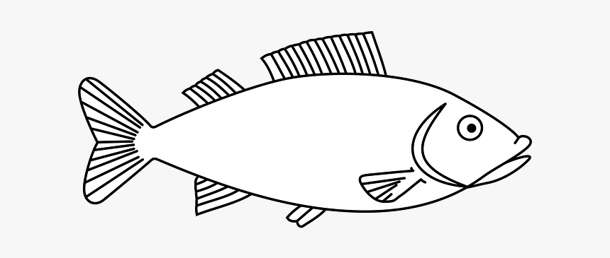 Big Fish Outline, HD Png Download, Free Download