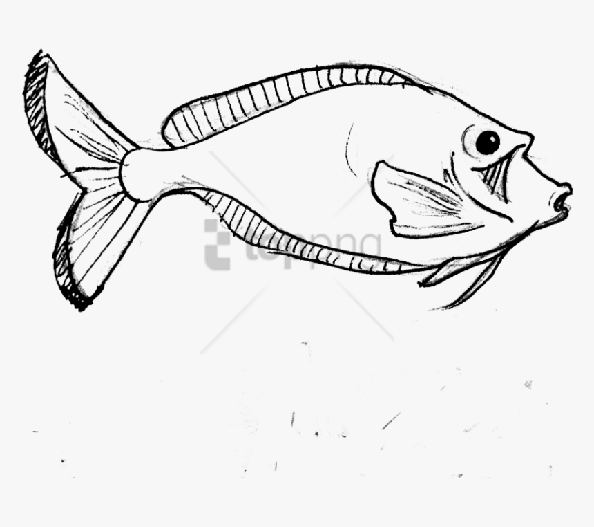 Outline Drawing Sceneries, Hd Png Download - Easy Realistic Fish Drawing, Transparent Png, Free Download