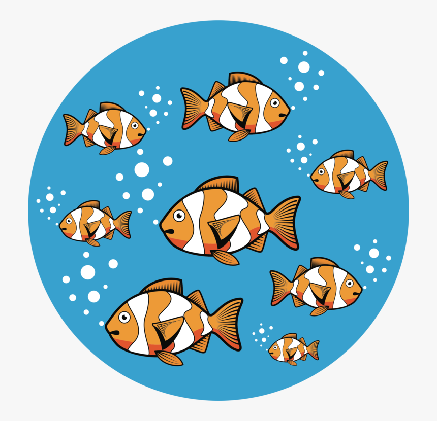 Anemone Fish,fish,pomacentridae, HD Png Download, Free Download