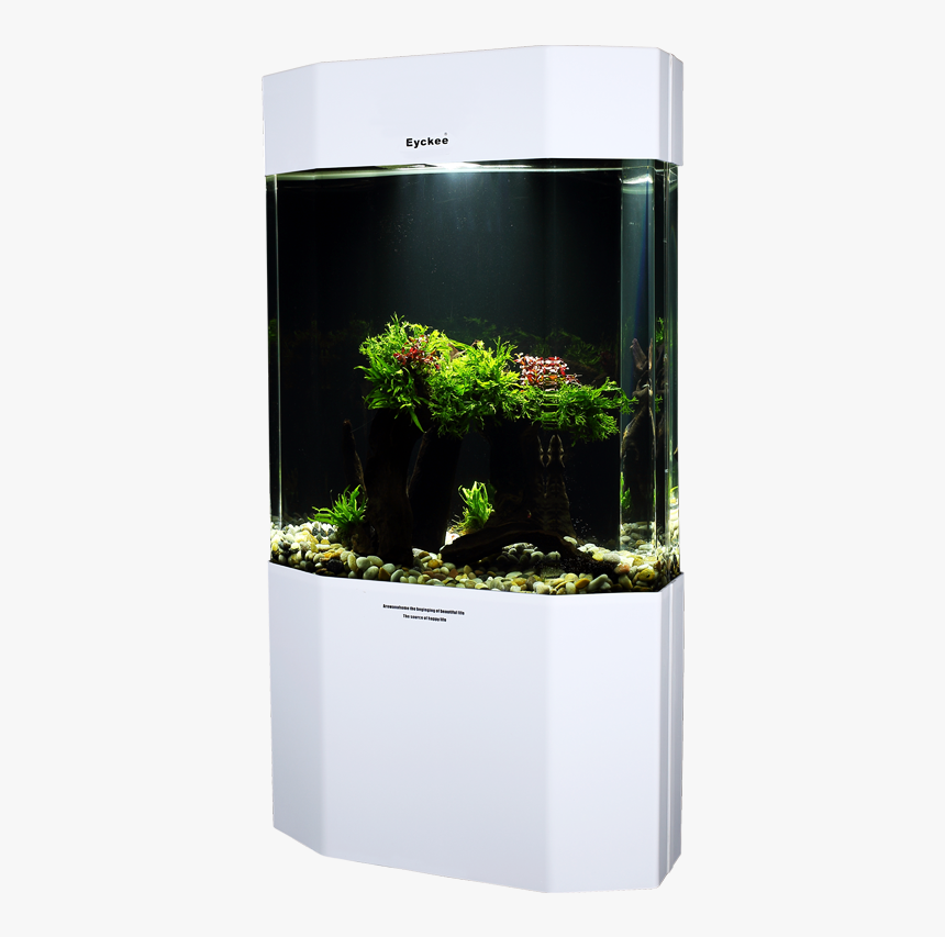 Eyckee Love Octagonal Ecological - Aquarium, HD Png Download, Free Download