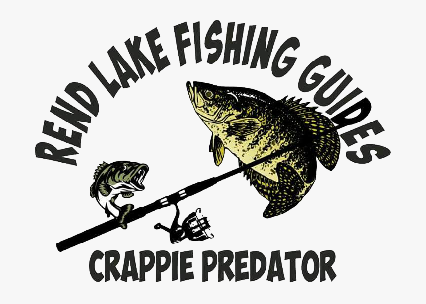 Crappie Vector Largemouth Bass Outline - White Crappie, HD Png Download, Free Download