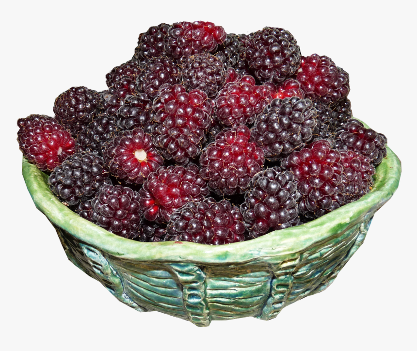Transparent Blackberries Png - Boysenberry, Png Download, Free Download