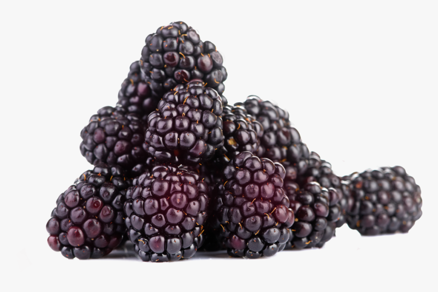 Boysenberries Png, Transparent Png, Free Download