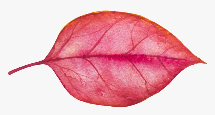 Transparent Red Leaf Png - Portable Network Graphics, Png Download, Free Download