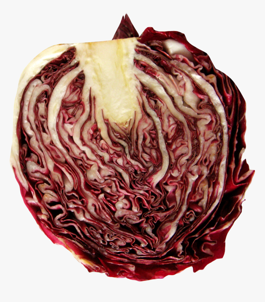 Radicchio Transparent, HD Png Download, Free Download