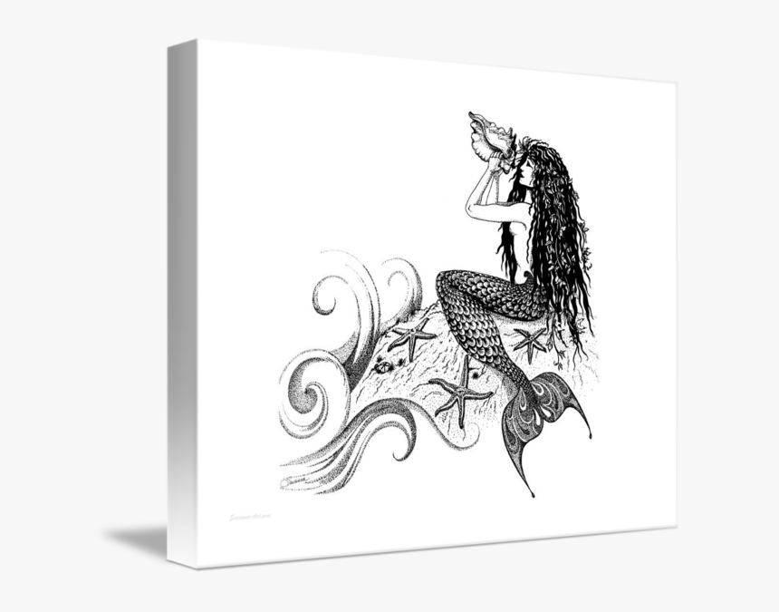 Drawing Shells Conch - Pen And Ink Mermaid, HD Png Download, Free Download