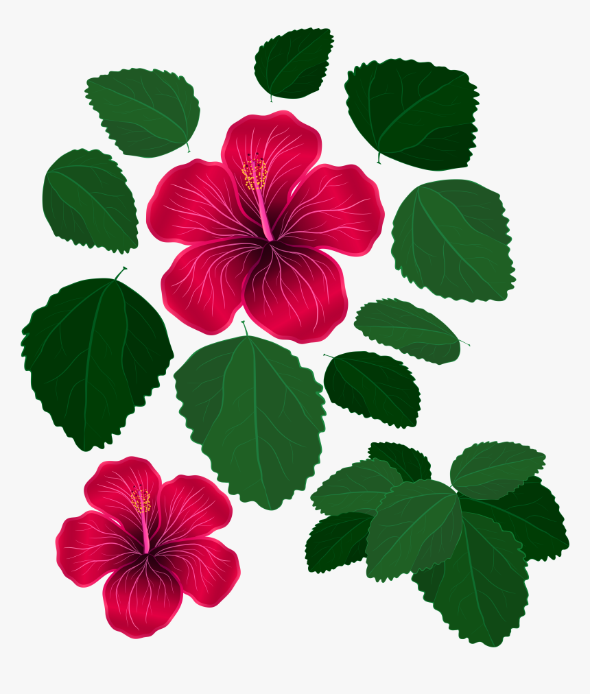 Clip Art Flower With Leaves Clipart - Leaves And Flowers Clipart, HD Png Download, Free Download