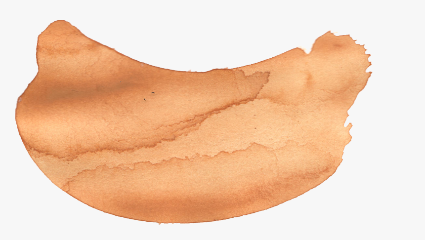 Conch , Png Download - Suede, Transparent Png, Free Download