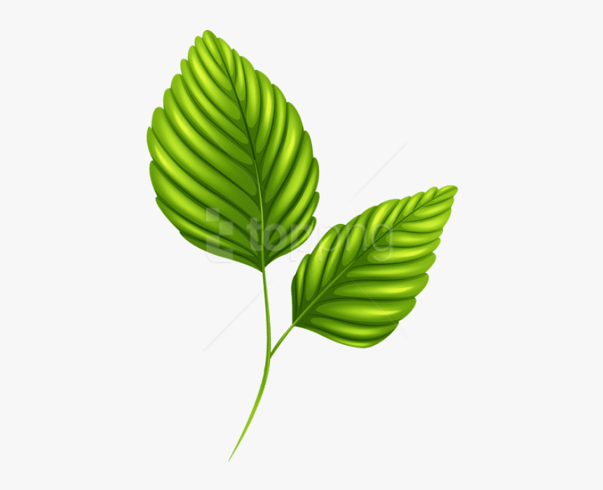 Leaves Clip Art Transparent, HD Png Download, Free Download