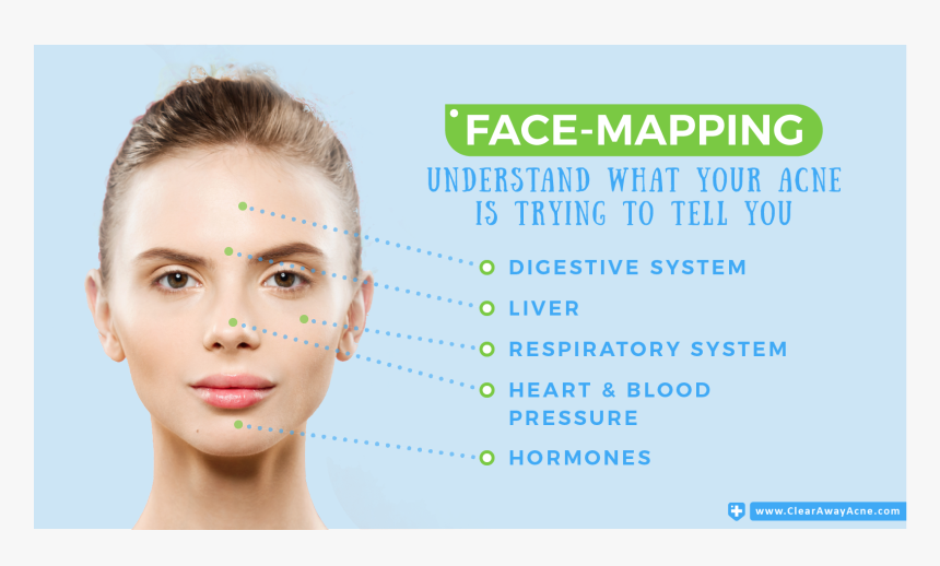 Forehead Acne Face Map, HD Png Download, Free Download