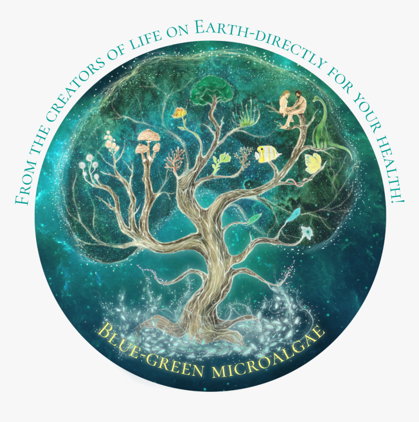 Tree Of Life - Tree, HD Png Download, Free Download