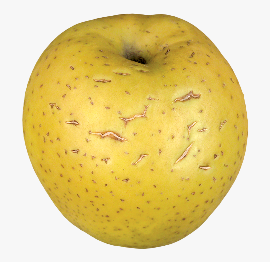 Granny Smith, HD Png Download, Free Download