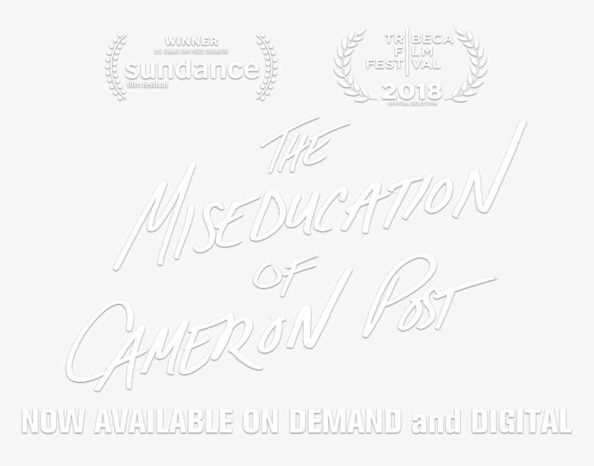 Miseducation Of Cameron Post Poster - Calligraphy, HD Png Download, Free Download