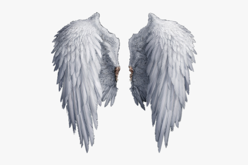 Stock Photography Drawing Clip Art - Transparent Angel Wings Png, Png Download, Free Download