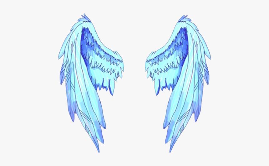 #tumblr #wings - Angel Blue Wings Png, Transparent Png, Free Download