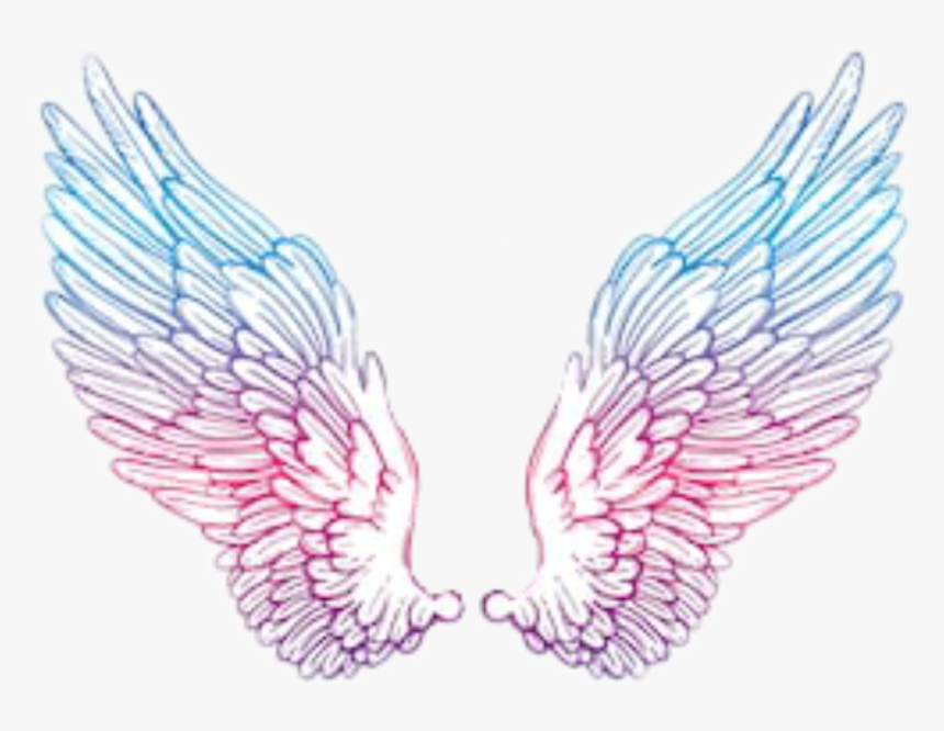 #angelwings #wings #angel #blue #pink #purple #tumblr - Pink And Blue Angel Wings, HD Png Download, Free Download