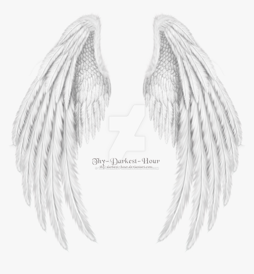 Drawing Angel Clip Art - Realistic Angel Wings Drawing, HD Png Download, Free Download