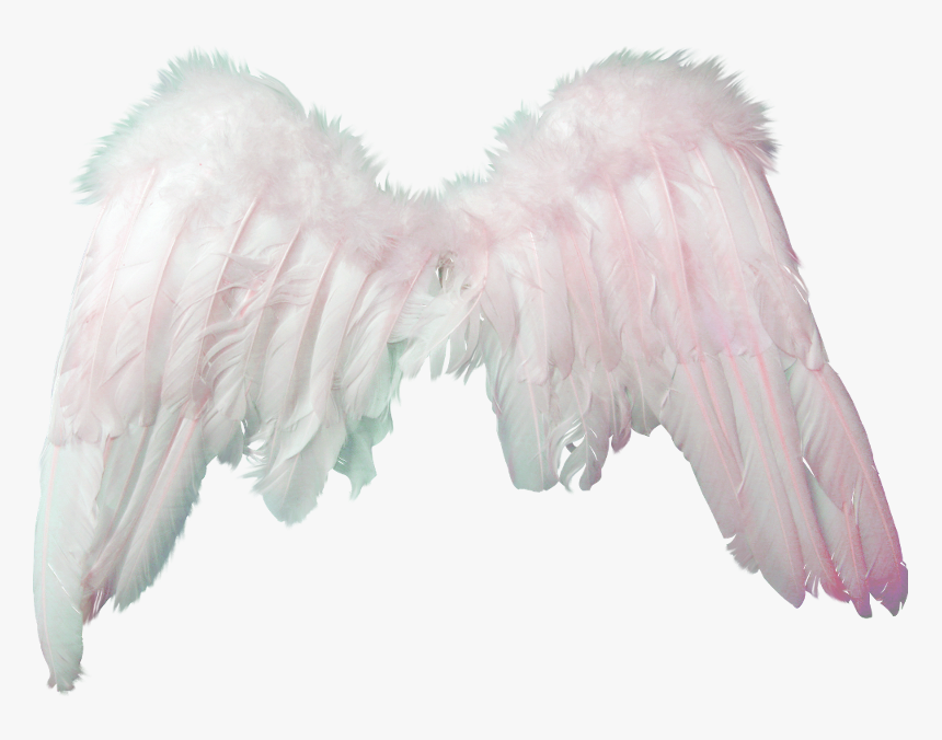 #wings #wingsofanangel #angel #pink #cute #cutie #tumblr - Wings Aesthetics, HD Png Download, Free Download