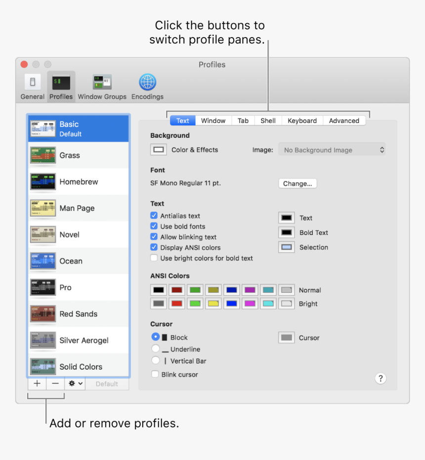 The Terminal Profiles Pane Showing The Basic Profile - Terminal App Profiles, HD Png Download, Free Download