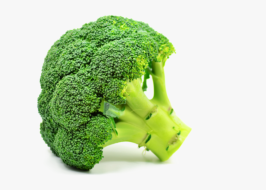 1 Piece Of Broccoli - Brocoli Png, Transparent Png, Free Download
