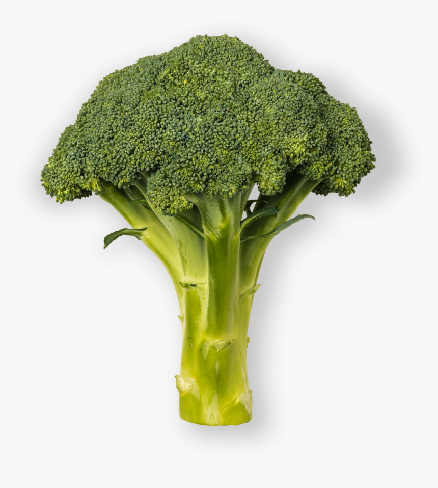 Broccoli, HD Png Download, Free Download