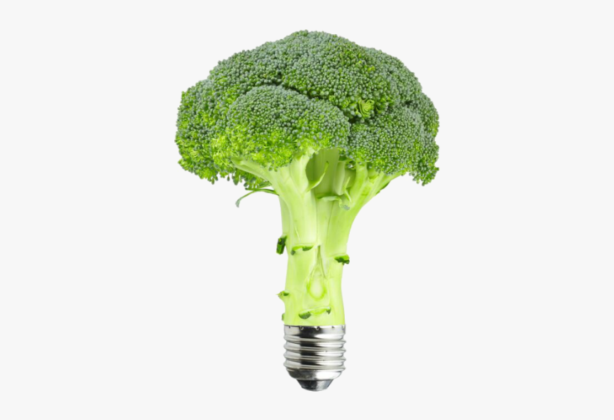 Broccoli Renewable Energy Bulb - Broccoli, HD Png Download, Free Download