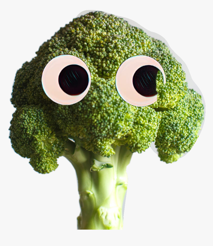 #googlyeyes #contest #byminty #brocoli - Broccoli Deku, HD Png Download, Free Download