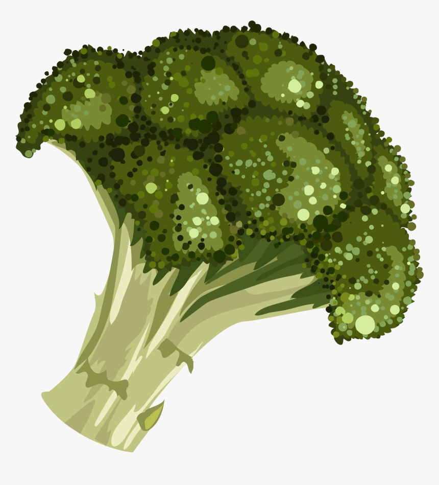 Transparent Broccoli Clipart Black And White - Cartoon Drawing Of A Broccoli, HD Png Download, Free Download