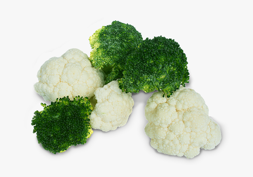 Broccoli, HD Png Download, Free Download