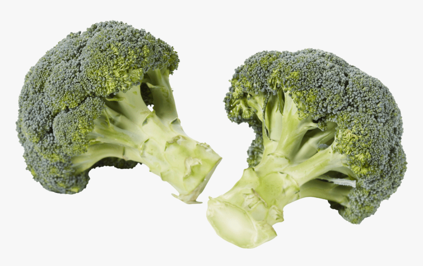 Brocoli - Broccoli, HD Png Download, Free Download