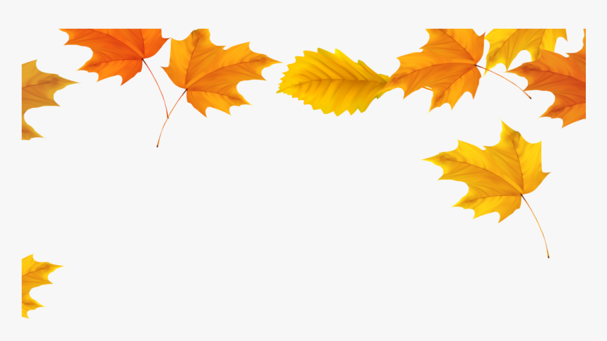Transparent Thanksgiving Leaves Png - Autumn Leaves Transparent Background, Png Download, Free Download