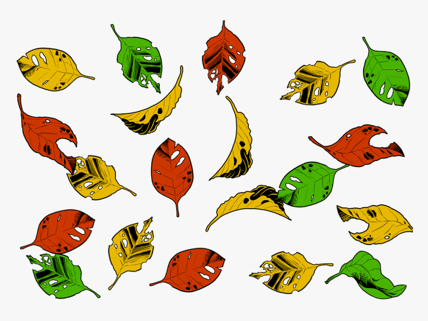 Falling Leaves, Leaves, Fall, Autumn, Nature, Seasonal, HD Png Download, Free Download