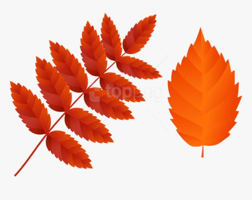 Download Two Dark Orange Fall Leaves Clipart Png Photo - Free Fall Leaves Png, Transparent Png, Free Download